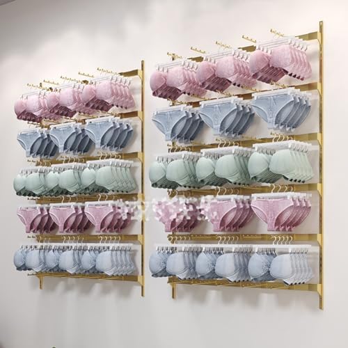 5-Layer Metal Lingerie Display Rack - Freestanding Tool & Garment Storage, Wall-Mounted Pegboard for Retail Stores - Ideal for Bras, Shorts & Clothing Organization