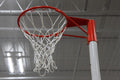 Gared Basketball Net Replacement Heavy Duty Net Replacement Goal for 2.5' Steel Netball System