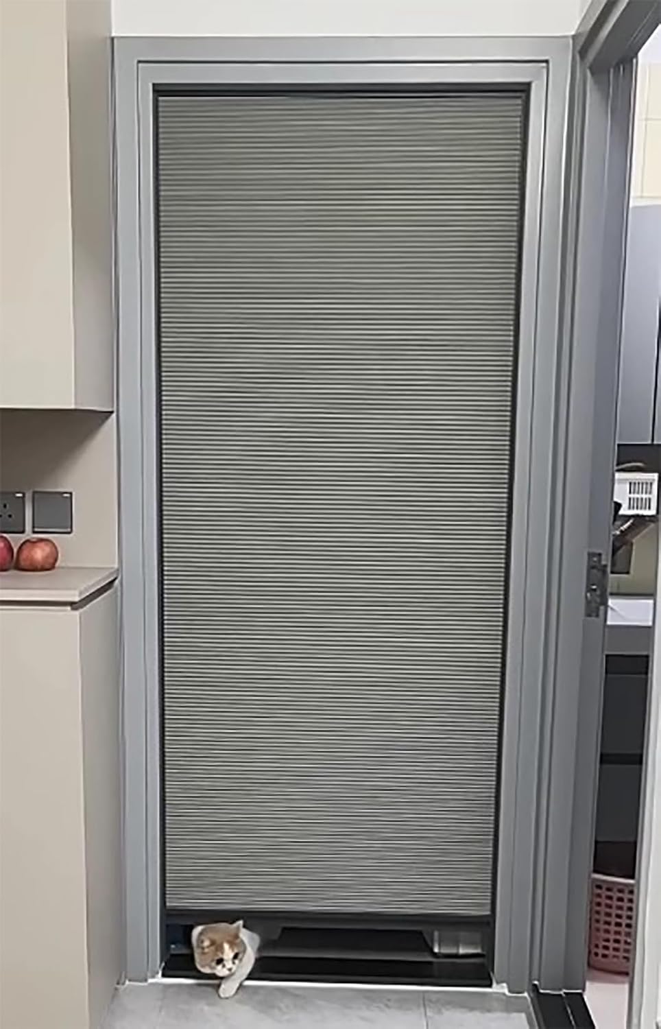 No Low Track Accordion Folding Door, Aluminum Frame Sliding Screen Door with Cellular Fabric Panel, Top Down Bottom Up Telescopic Door Kit(35x80in(89x203cm))