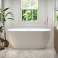 FerdY Nauru 59' Acrylic Freestanding Bathtub, Gracefully Shaped Freestanding Soaking Bathtub with Brushed Nickel Drain & Back Scrubber for Shower,Long Handled Loofah on a Stick, Body Brush