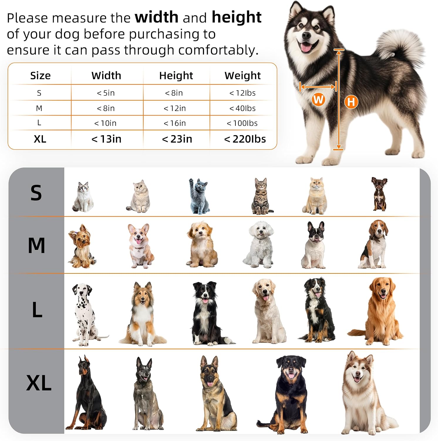 MIAOTONG 3-Flap Dog Door for Wall, Energy-Efficient Insulated Pet Door for Wall, Aluminum Lock Doggy Doors,Steel Frame and Telescoping Tunnel Dog Doors (Pets Up to 220 Lb) -X-Large